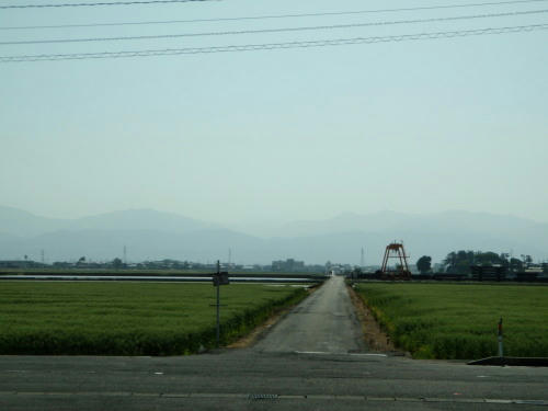 P5150002op2.jpg