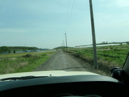 P5150004op4.jpg