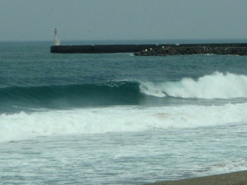 P5150011op11.jpg