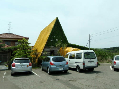 P5150012op13.jpg