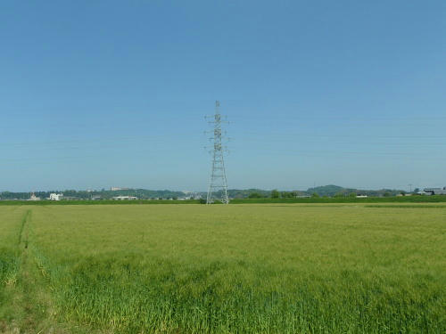 P5180067op1.jpg