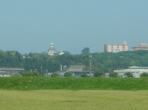 P5180069op2.jpg