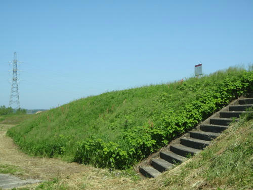 P5180101op6.jpg