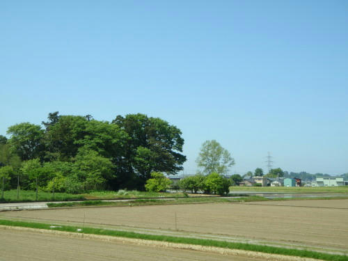 P5180103op7.jpg