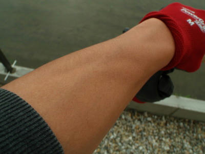 P5190227op12.jpg