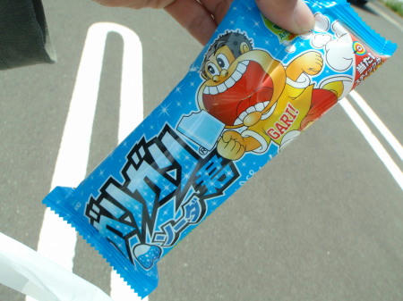 P5200249op16.jpg