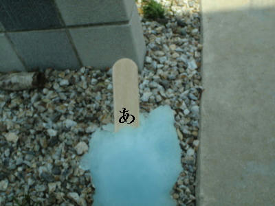 P5200252op18.jpg