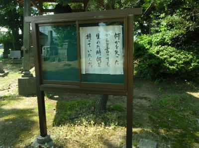P5180073op3.jpg