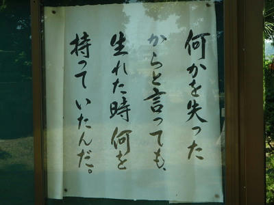 P5180074op4.jpg