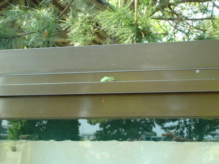 P5180076op5.jpg