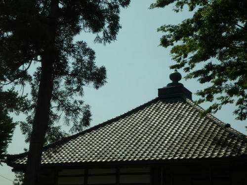 P5190199op8.jpg