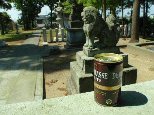 P5180096op11.jpg
