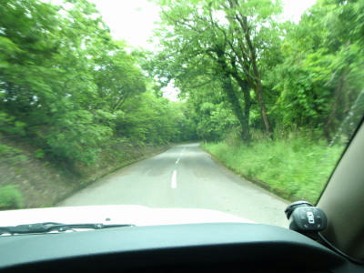 P5220274kl2.jpg