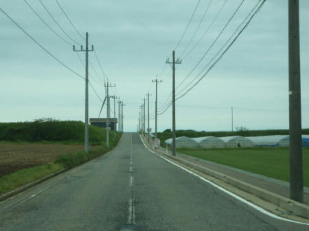 P5220275kl3.jpg