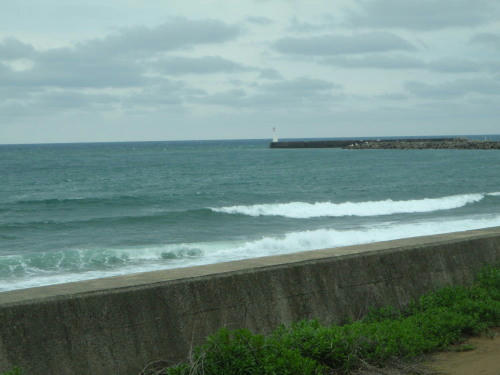 P5220281kl6.jpg
