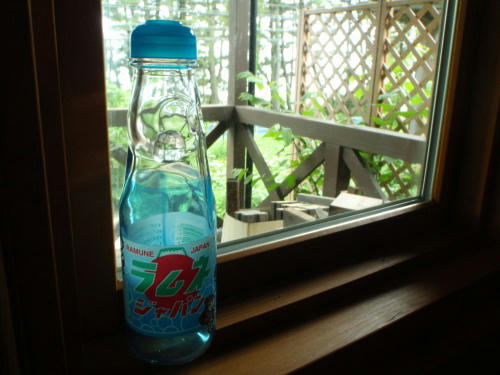 P5220283kl7.jpg