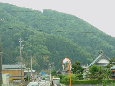 P5230299op6.jpg