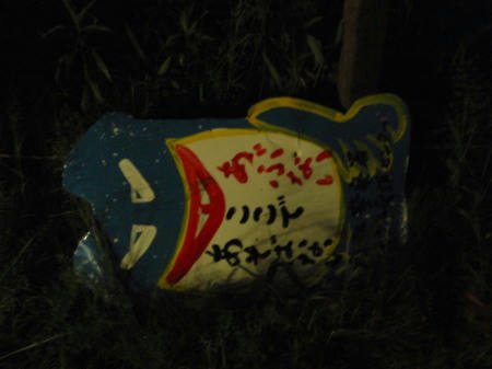 P5230332op15.jpg