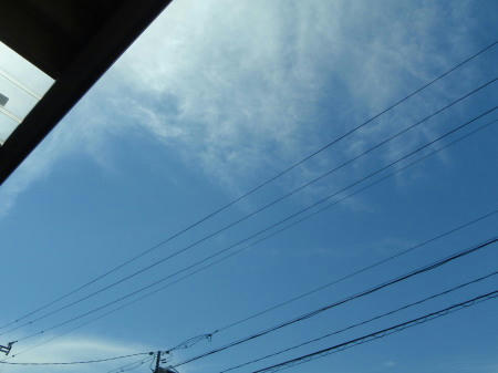 P5240337op2.jpg