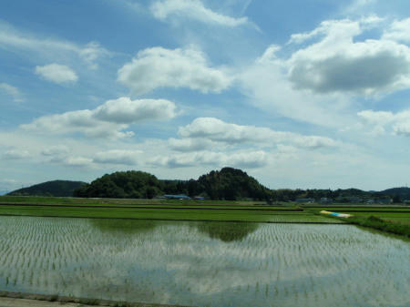 P5240341op5.jpg