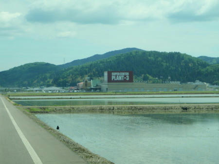 P5240343op7.jpg