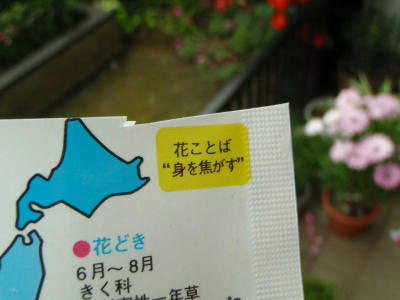 P5240355op10.5.jpg