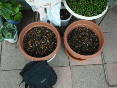 P5240360op14.jpg