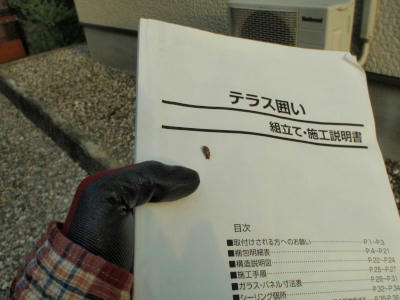 P5250098op4.jpg