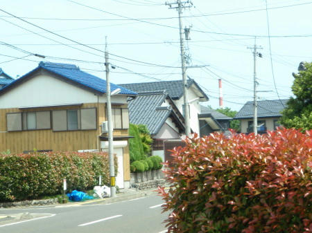 P5250018op2.jpg