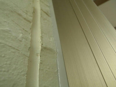 P5250090op11.jpg