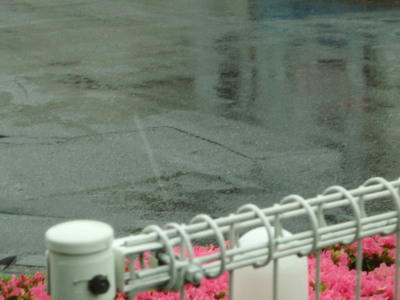 P5290216jk1.jpg