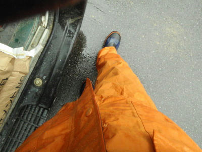 P5300227fg2.jpg