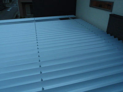 P5300259fg8.jpg