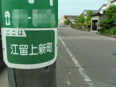 P5310325op2.jpg