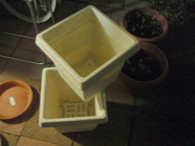 P6020357op1.jpg