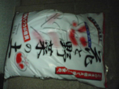 P6020359op3.jpg