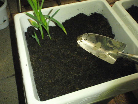 P6020367op7.jpg