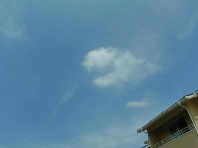 P6030379op3.jpg