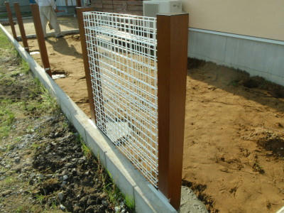 P6030395op6.jpg