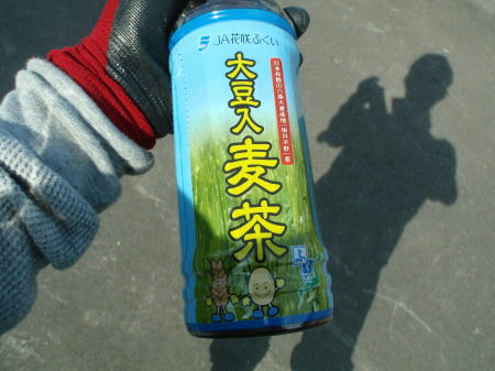 P6030394op5.jpg