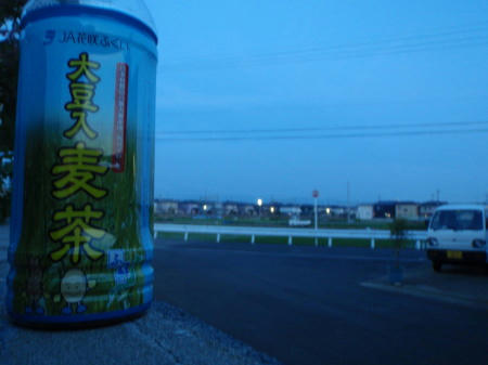 P6030409op6.5.jpg