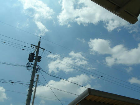 P6060007op3.jpg