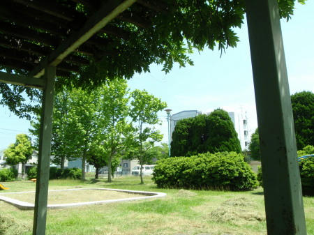 P6060015op5.jpg