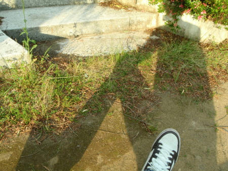 P6070067op9.jpg