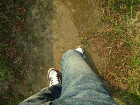 P6070066op10.jpg
