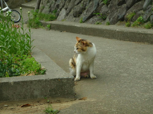 P6090147op12.jpg