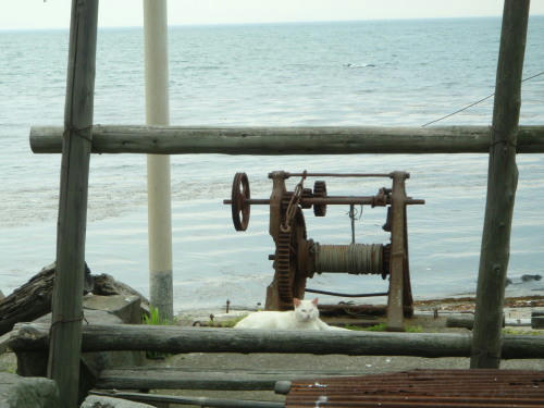 P6090156op17.jpg