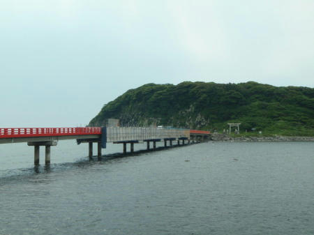 P6090137op7.jpg