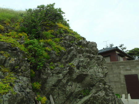 P6090169kl5.jpg