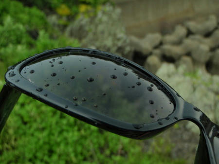 P6090176kl9.jpg